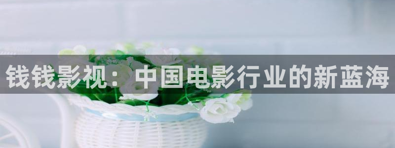 玖玖爱视频在线观看免费：钱钱影视：中国电影行业的新蓝海