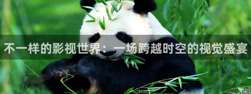玖玖热在线视频这里只有精品
