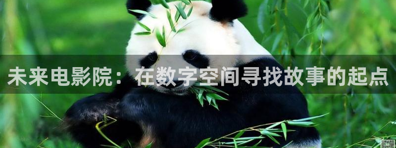 玖玖青青在线视频
