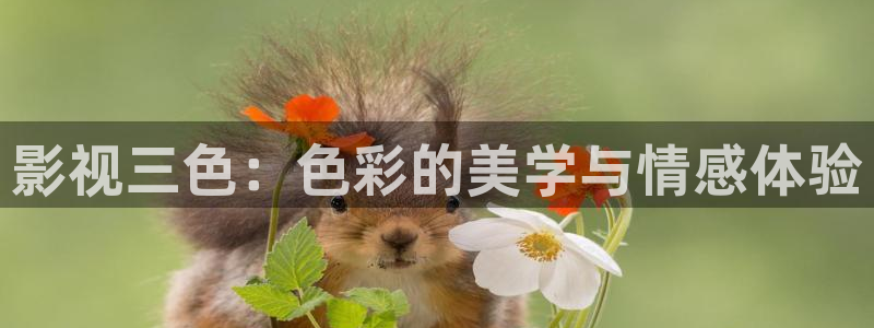 玖玖玖视频在线观看